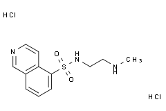 N-(2-(甲氨基)乙基)异喹啉-5-磺酰胺二盐酸