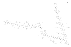 Parathyroid Hormone (1-34), Bovine