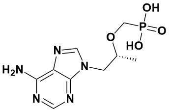 泰诺福韦|tenofovir|147127-20-6|adamas|98% |rg|100g