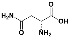 d-天冬酰胺|d-asparagine|2058-58-4|aldrich|99%|sbu-774|25g