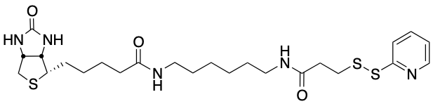 生物素-HPDP|5-((3aS,4S,6aR)-2-Oxohexahydro-1H-Thieno[3,4-d]Imidazol-4-yl)-N-(6-(3-(Pyridin-2-Yldisulfan
