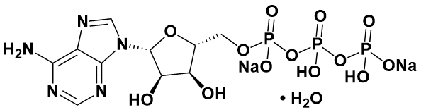 5′-三磷酸腺苷二钠盐 水合物|adenosine 5-trip