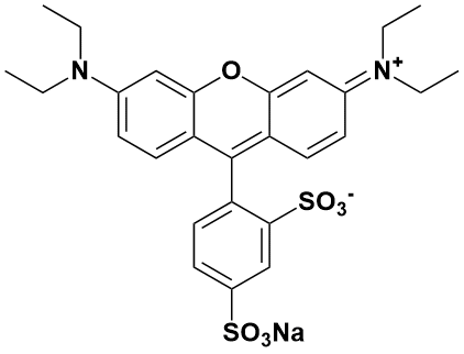 磺酰罗丹明b|sulforhodamine b sodium salt|3520-42-1|sigma