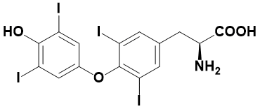 l-甲状腺素|l-thyroxine|51-48-9|dr.e|纯品型||0.1g