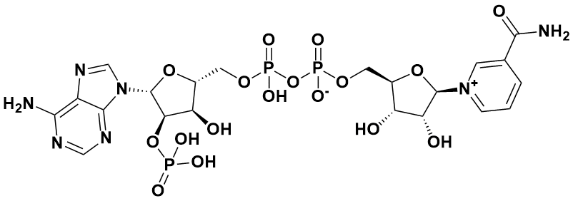 dinucleotide phosphate hydrate|53-59-8|amresco||试剂级|5g