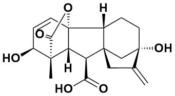 e|纯品型||0.1g
