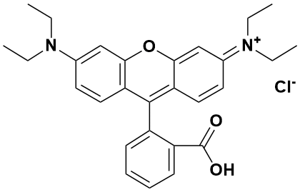 罗丹明b|rhodamine b|81-88-9|wako|25g