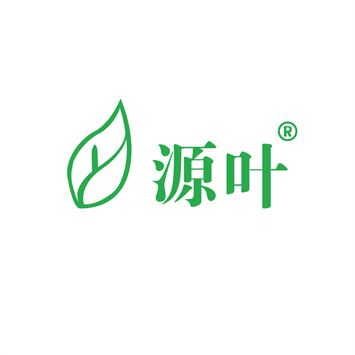 瑞氏染色液(Wright stain,即用型)|源叶|500ml